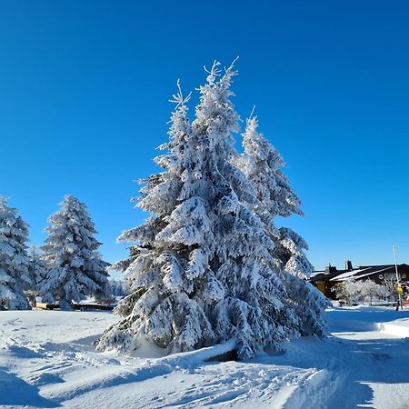 Hotel & Ferienappartements Edelweiss Willingen  Kültér fotó