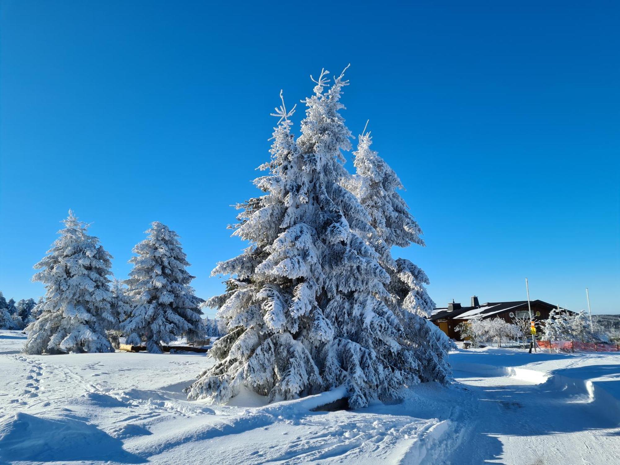 Hotel & Ferienappartements Edelweiss Willingen  Kültér fotó