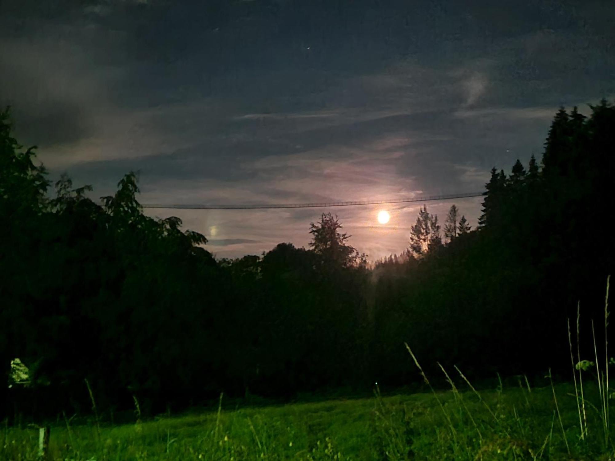 Hotel & Ferienappartements Edelweiss Willingen  Kültér fotó