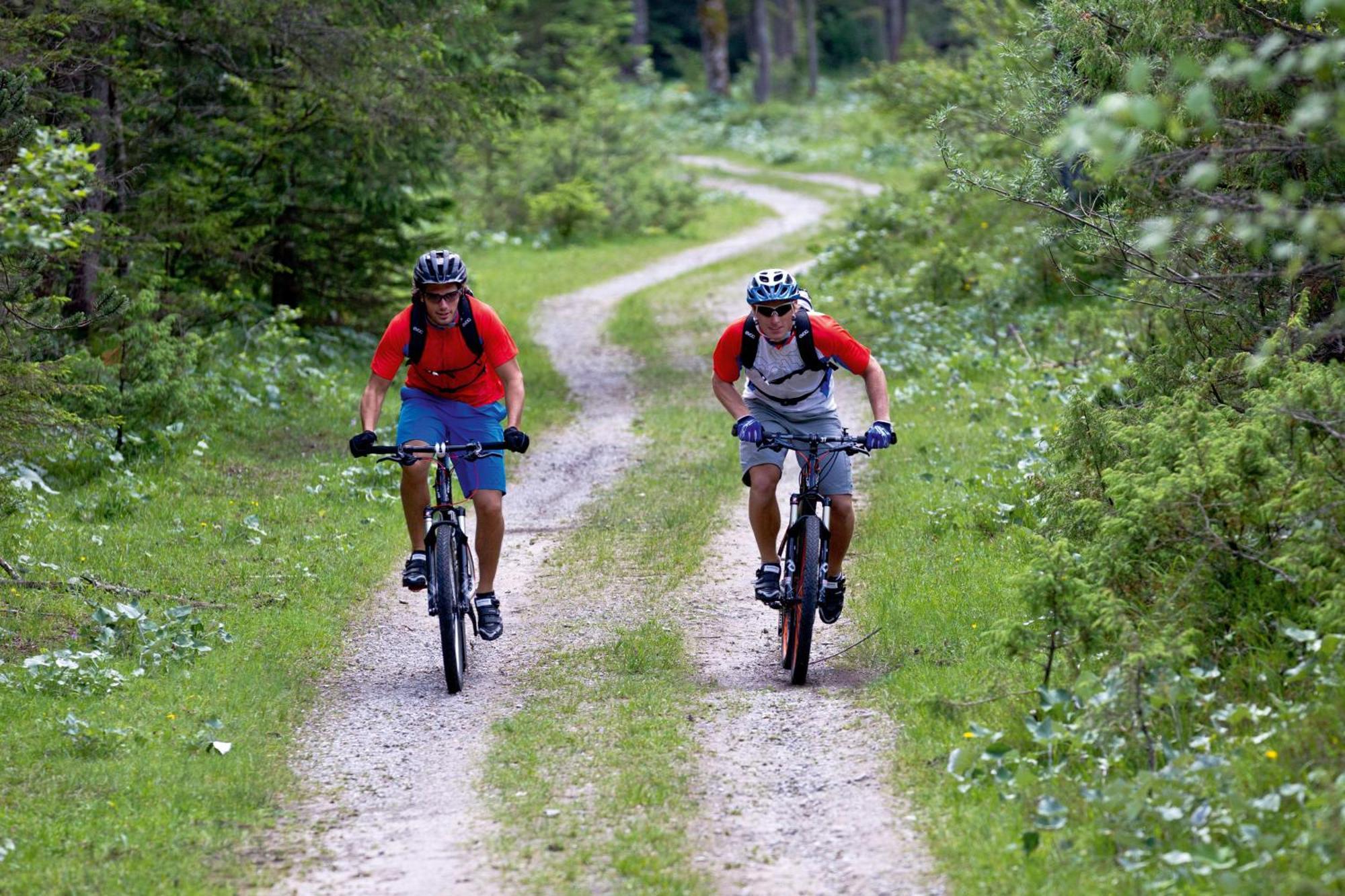 Hotel & Ferienappartements Edelweiss Willingen  Kültér fotó
